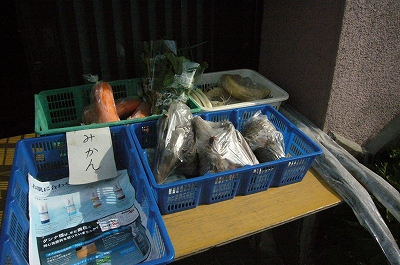 写真1