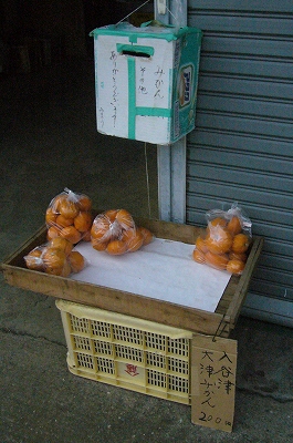 写真2