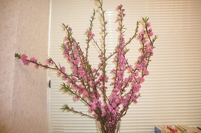 写真2