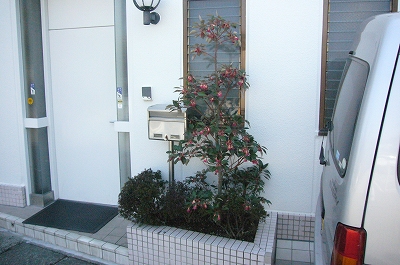 写真1